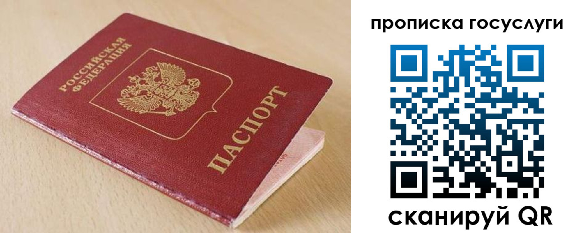 прописка законно в Химках